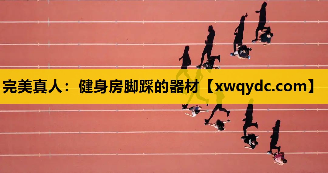 健身房脚踩的器材 健身房脚踩的器材