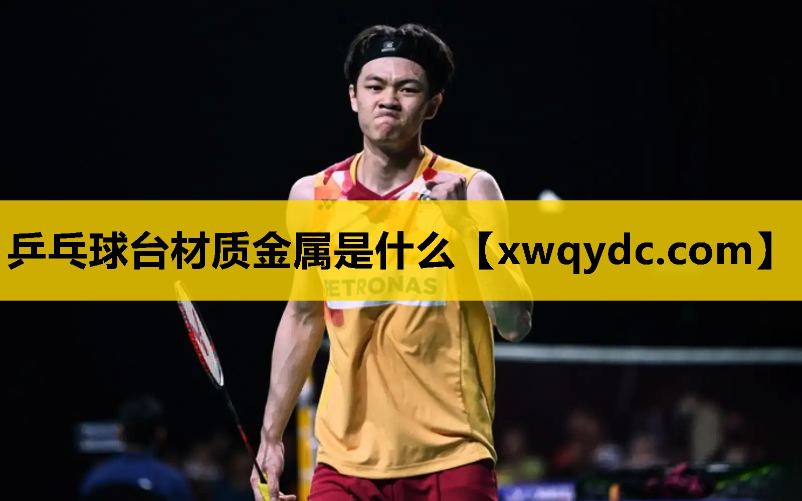 乒乓球台材质金属是什么 乒乓球台材质金属是什么