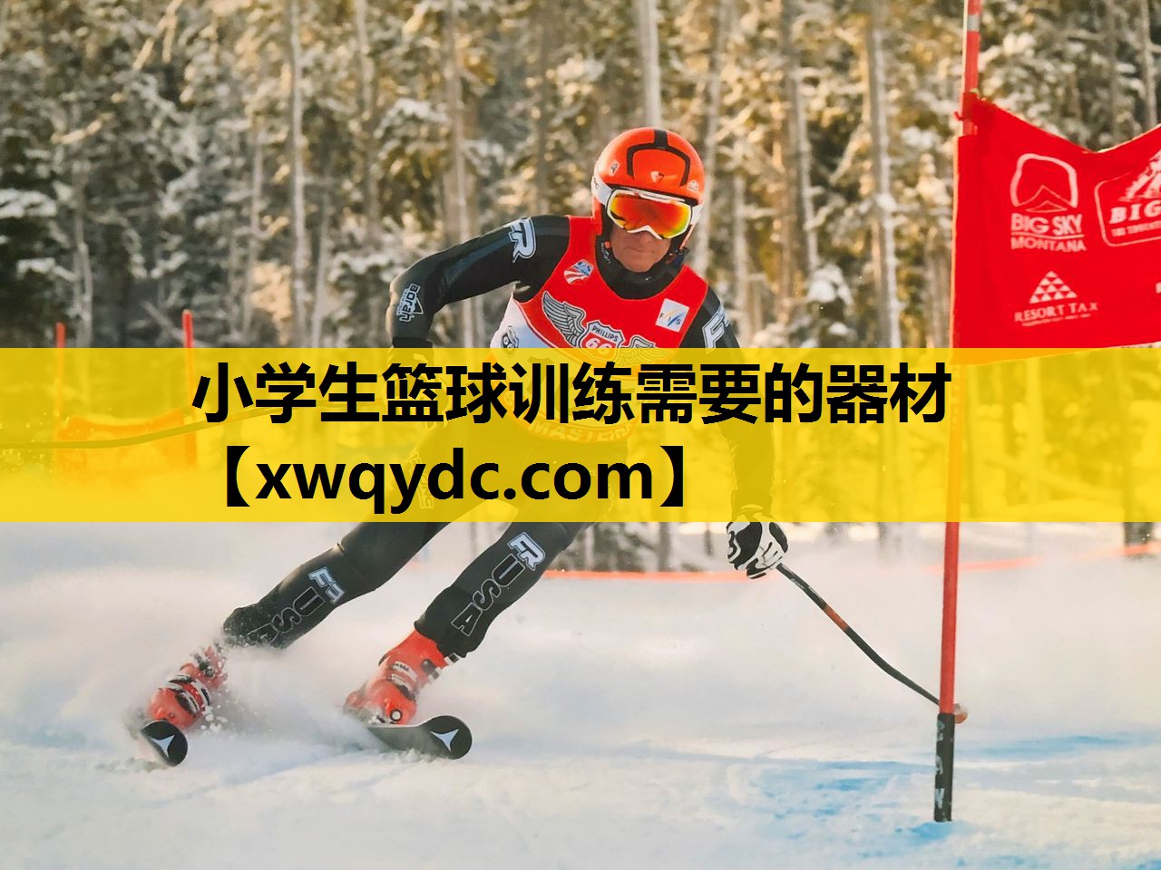 小学生篮球训练需要的器材 小学生篮球训练需要的器材