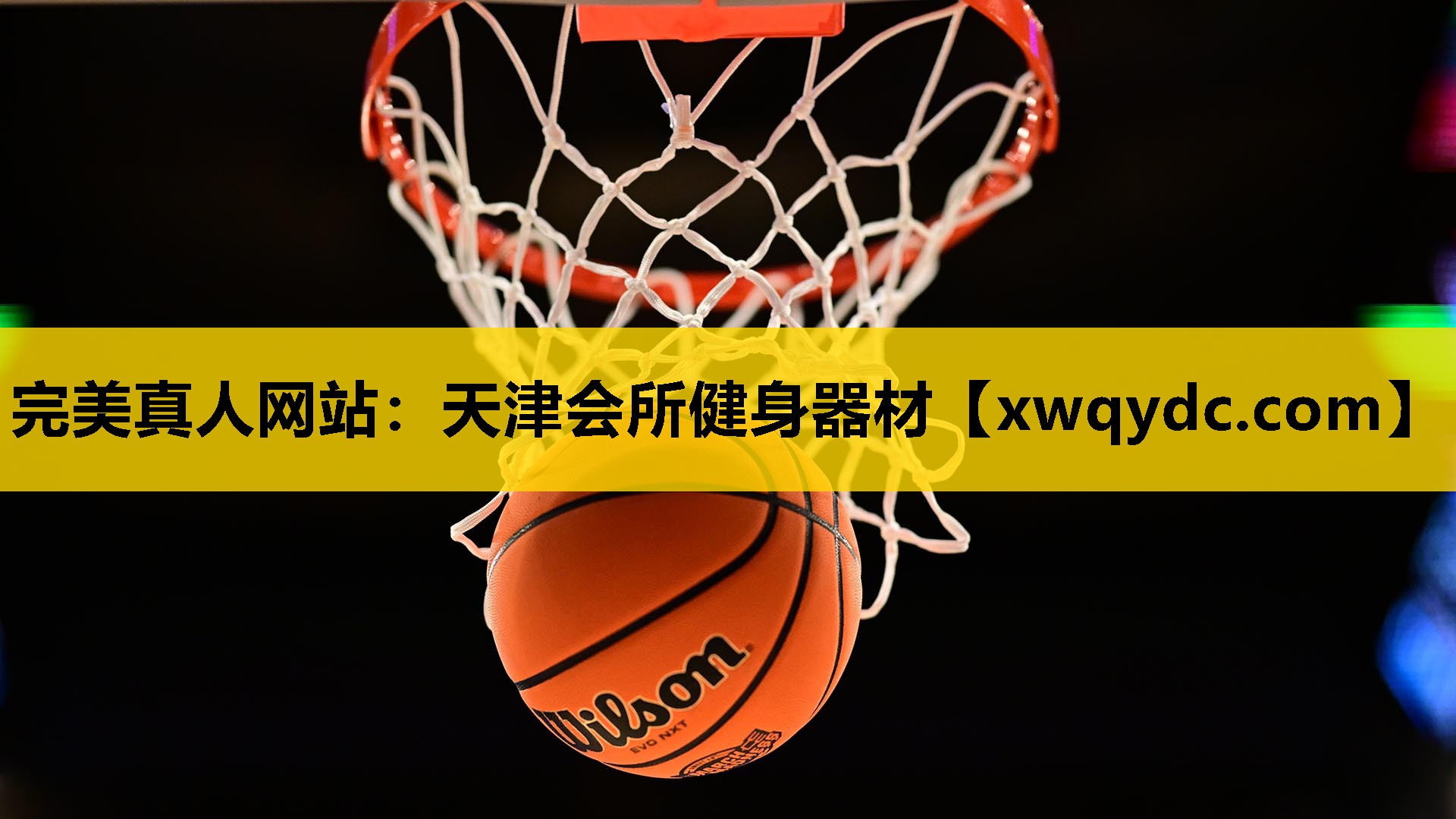 天津会所健身器材