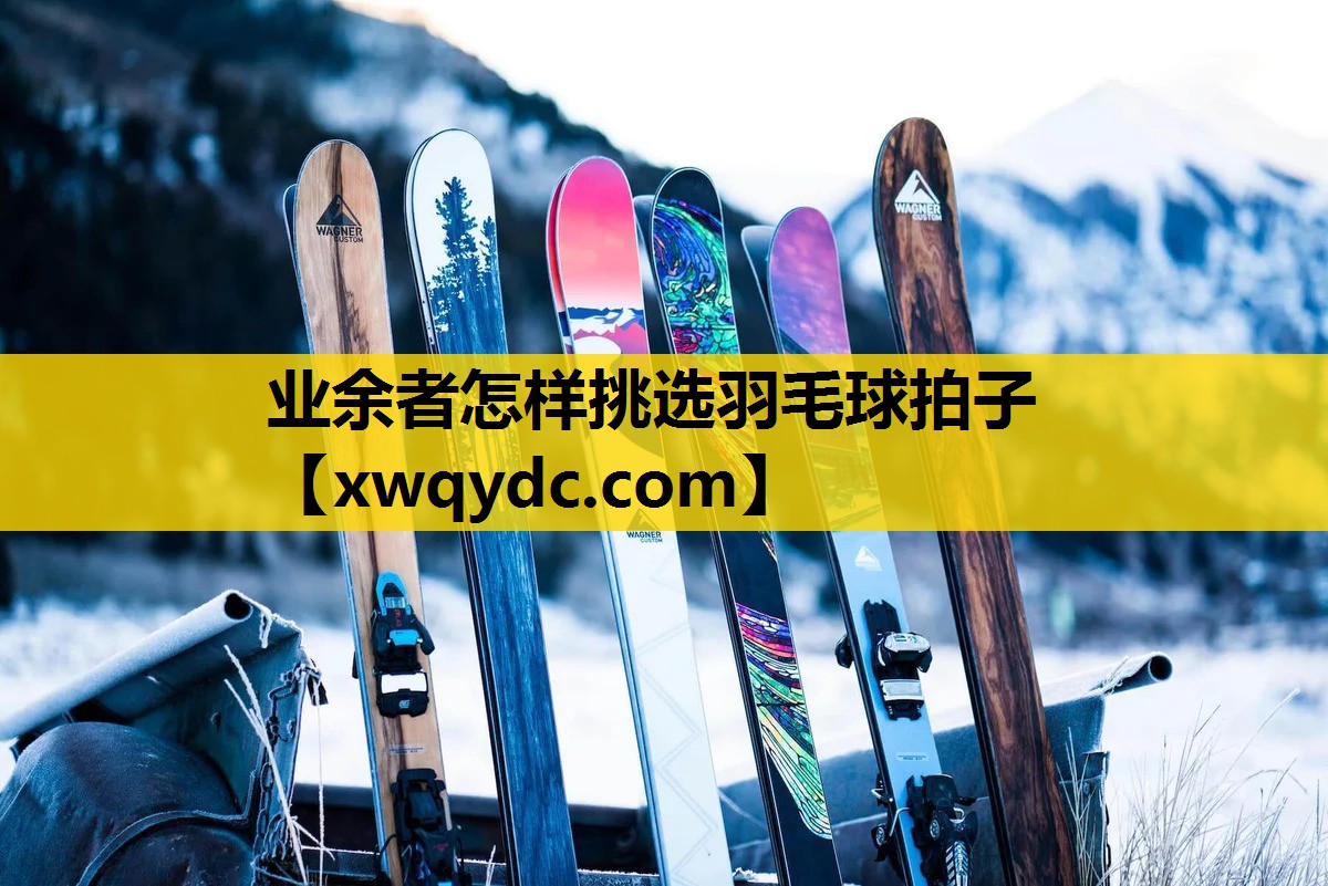 业余者怎样挑选羽毛球拍子 业余者怎样挑选羽毛球拍子