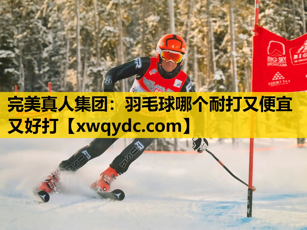羽毛球哪个耐打又便宜又好打 羽毛球哪个耐打又便宜又好打
