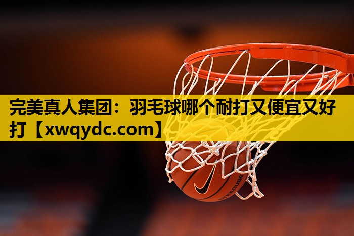 羽毛球哪个耐打又便宜又好打 羽毛球哪个耐打又便宜又好打