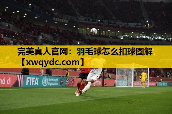 羽毛球怎么扣球图解 羽毛球怎么扣球图解