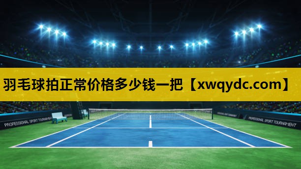 羽毛球拍正常价格多少钱一把 羽毛球拍正常价格多少钱一把