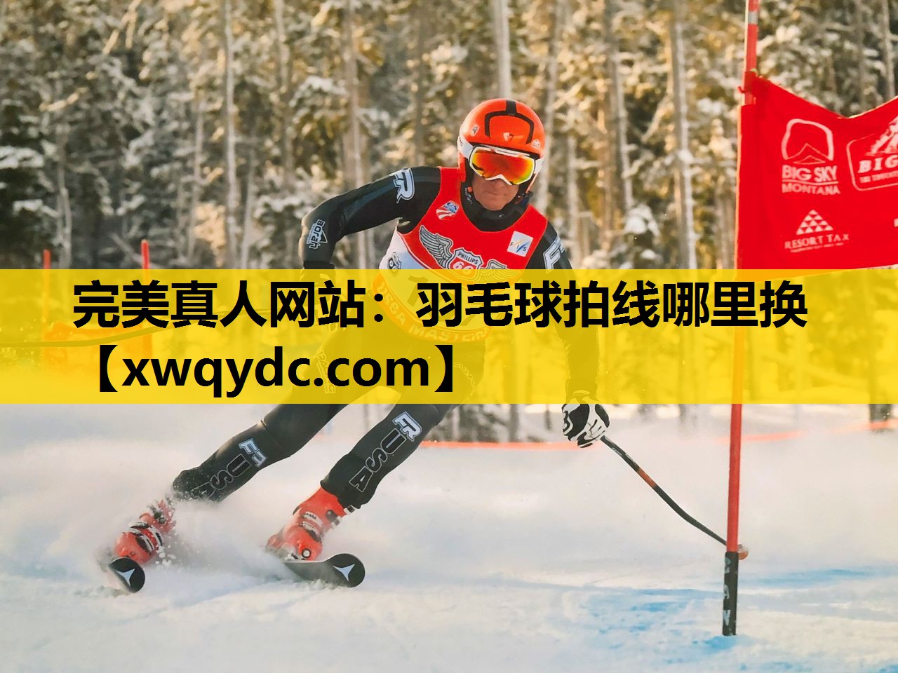 羽毛球拍线哪里换 羽毛球拍线哪里换