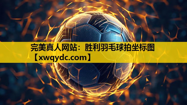 胜利羽毛球拍坐标图 胜利羽毛球拍坐标图