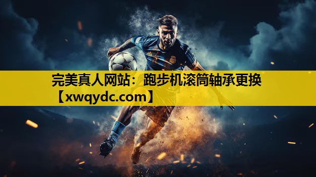 跑步机滚筒轴承更换 跑步机滚筒轴承更换
