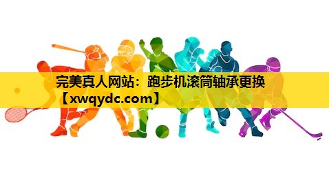 跑步机滚筒轴承更换 跑步机滚筒轴承更换