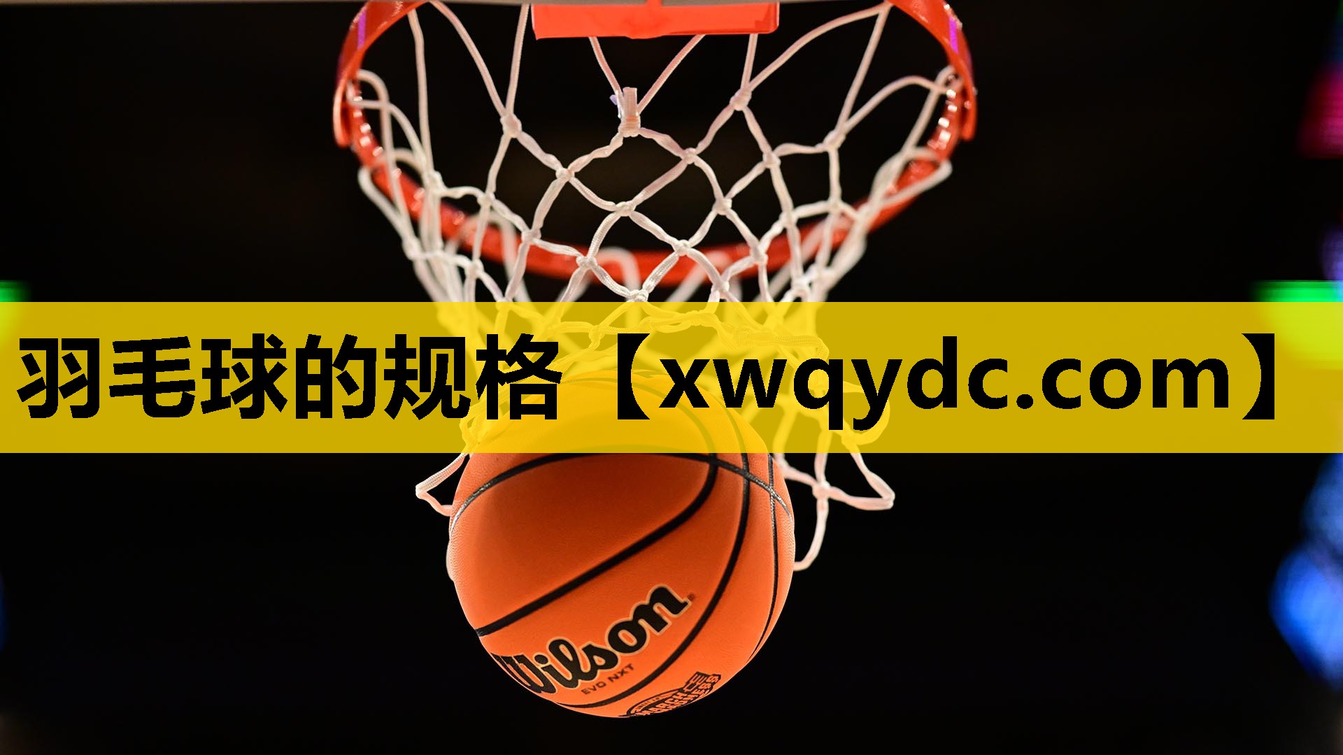 羽毛球的规格 羽毛球的规格
