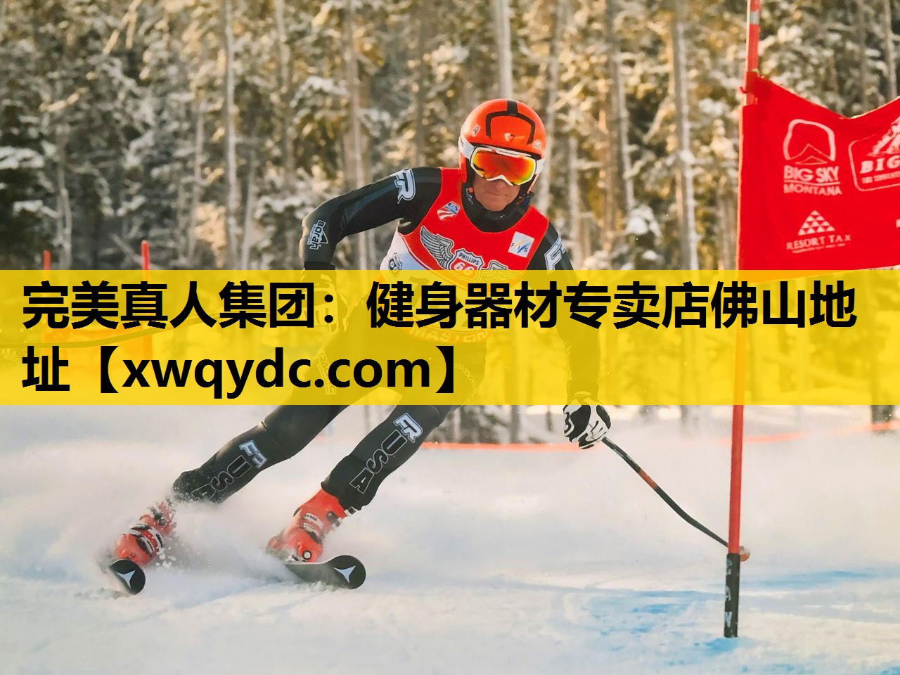 健身器材专卖店佛山地址 健身器材专卖店佛山地址