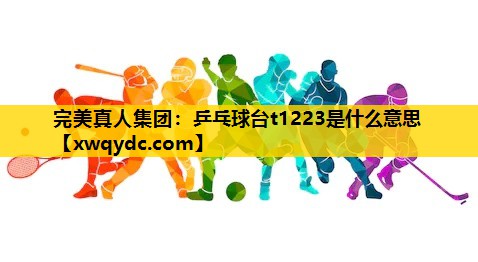 乒乓球台t1223是什么意思 乒乓球台t1223是什么意思