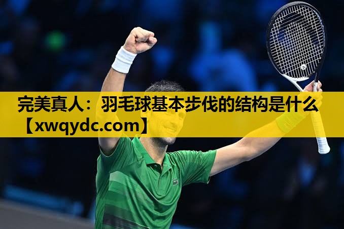 羽毛球基本步伐的结构是什么 羽毛球基本步伐的结构是什么