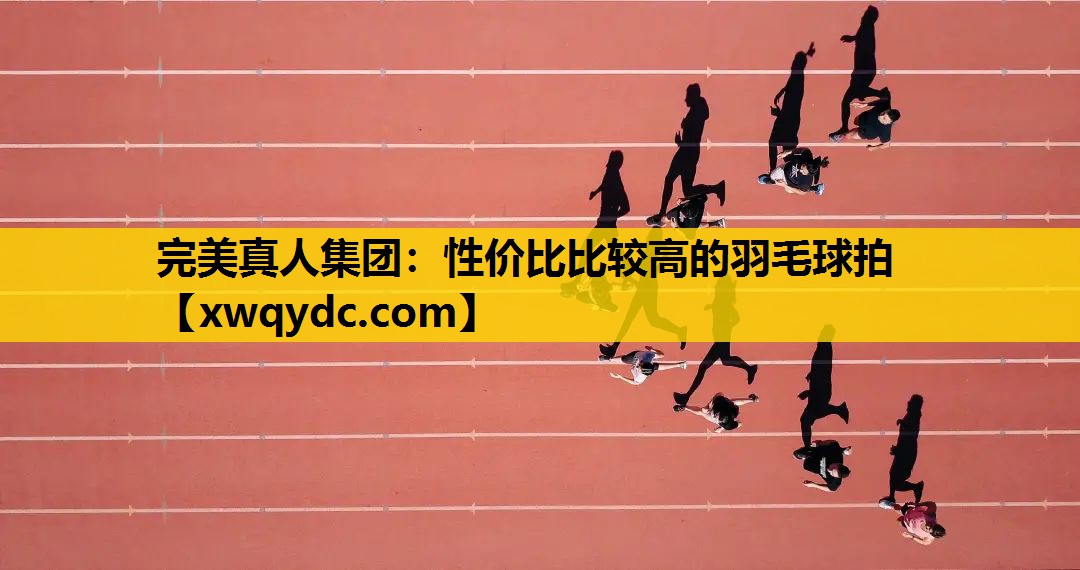 性价比比较高的羽毛球拍 性价比比较高的羽毛球拍