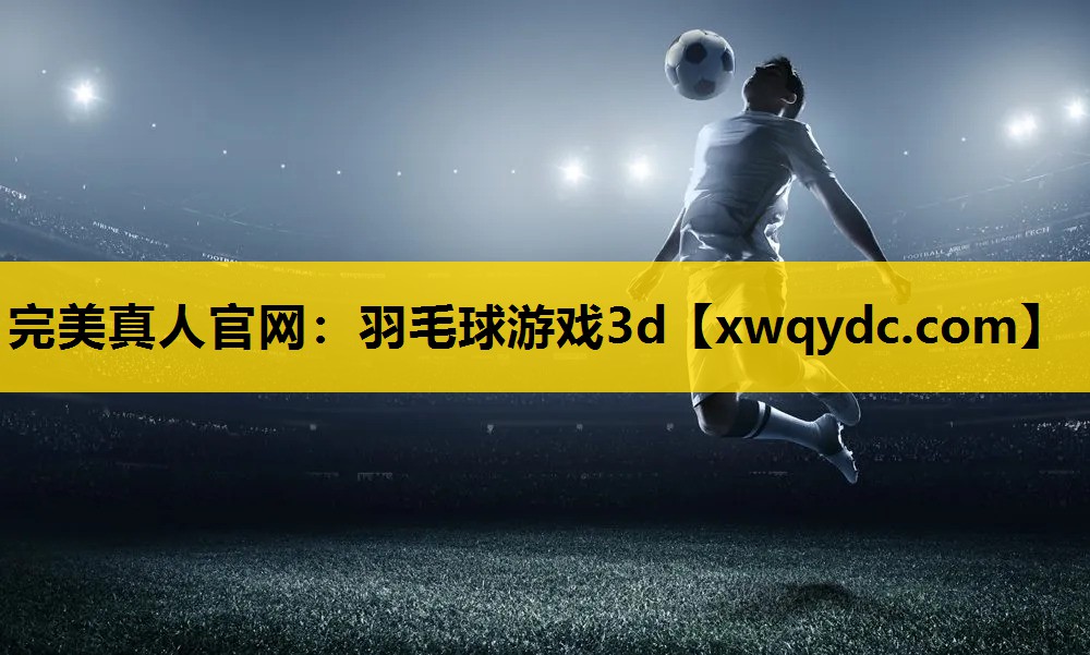 羽毛球游戏3d 羽毛球游戏3d