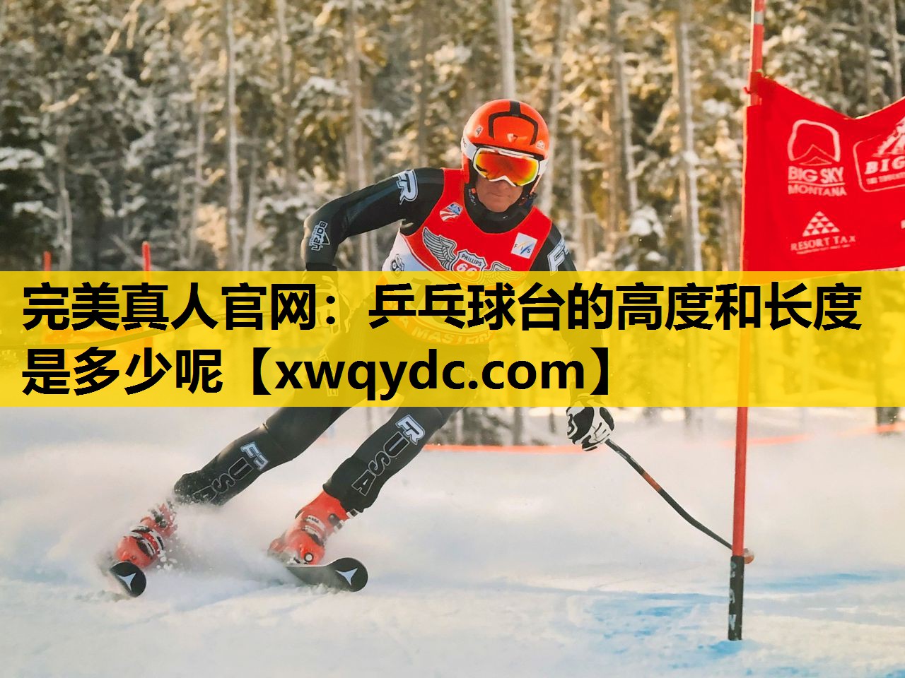 乒乓球台的高度和长度是多少呢 乒乓球台的高度和长度是多少呢